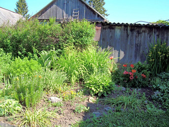 Similar image 21813624