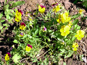 Similar image 21813626