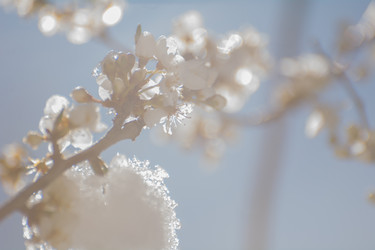 Similar image 21813899