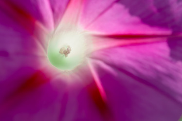 Similar image 21813900