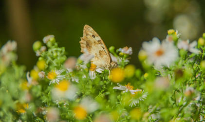 Similar image 21813901