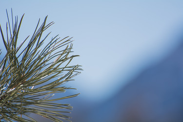 Similar image 21813904