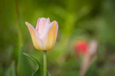 Similar image 21813905