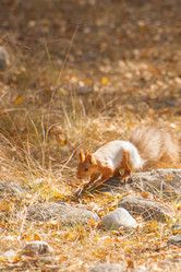 Similar image 21813913