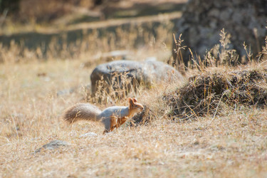 Similar image 21813914