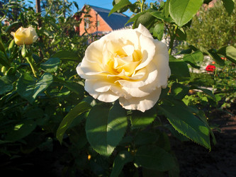 Similar image 21813215