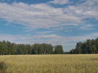 Similar image 21813233