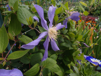 Similar image 21813234