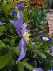 Similar image 21813235