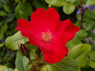 Similar image 21813236