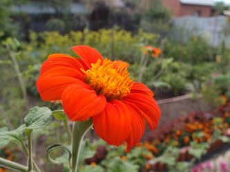 Similar image 21813237