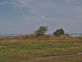 Similar image 21813240