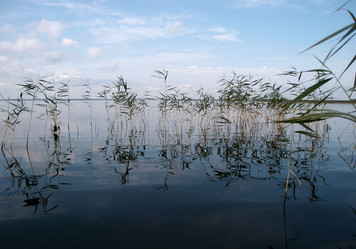 Similar image 21813244