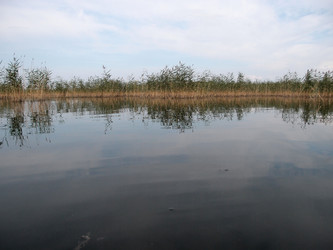 Similar image 21813246