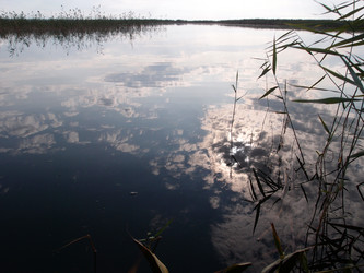 Similar image 21813247