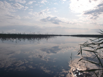 Similar image 21813248