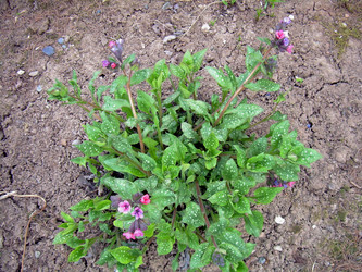 Similar image 21813636