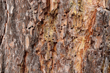 Similar image 21813268