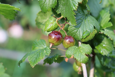 Similar image 21813269