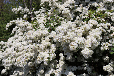 Similar image 21813270