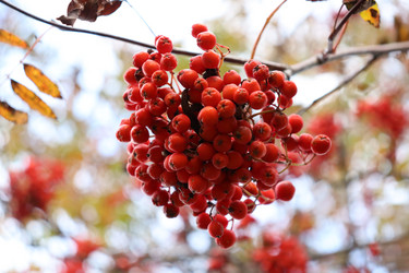 Similar image 21813272