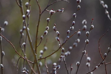 Similar image 21813287