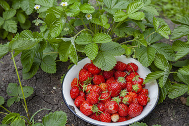 Similar image 21813288