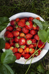 Similar image 21813289