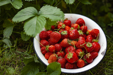 Similar image 21813290