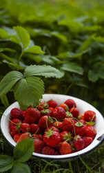 Similar image 21813291