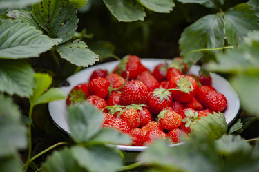 Similar image 21813293