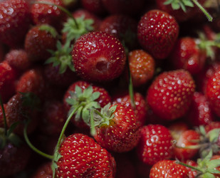 Similar image 21813294