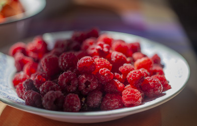 Similar image 21813295