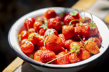 Similar image 21813296