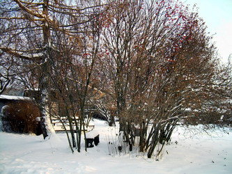 Similar image 21813637