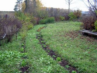 Similar image 21813638