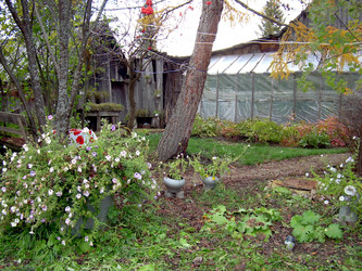 Similar image 21813642