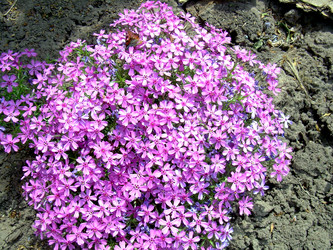 Similar image 21813644