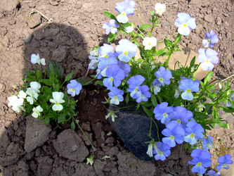 Similar image 21813645