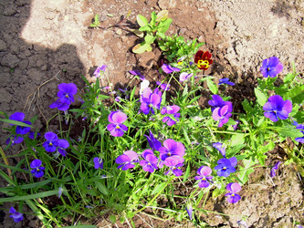 Similar image 21813647