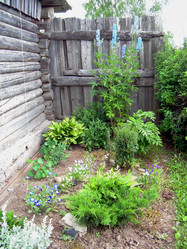 Similar image 21813649