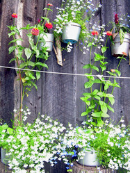 Similar image 21813650