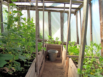 Similar image 21813651