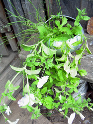 Similar image 21813652