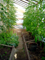 Similar image 21813653