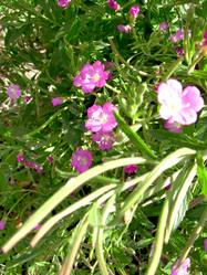 Similar image 21813655