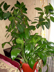 Similar image 21813659