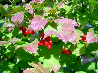 Similar image 21813660