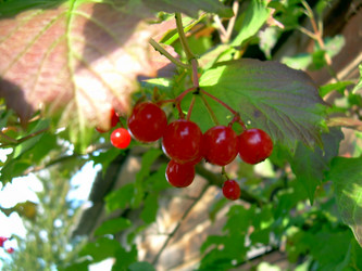 Similar image 21813661