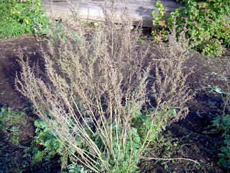 Similar image 21813663